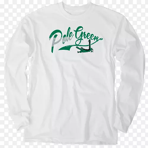 ����t����ɫ��־-t��-������