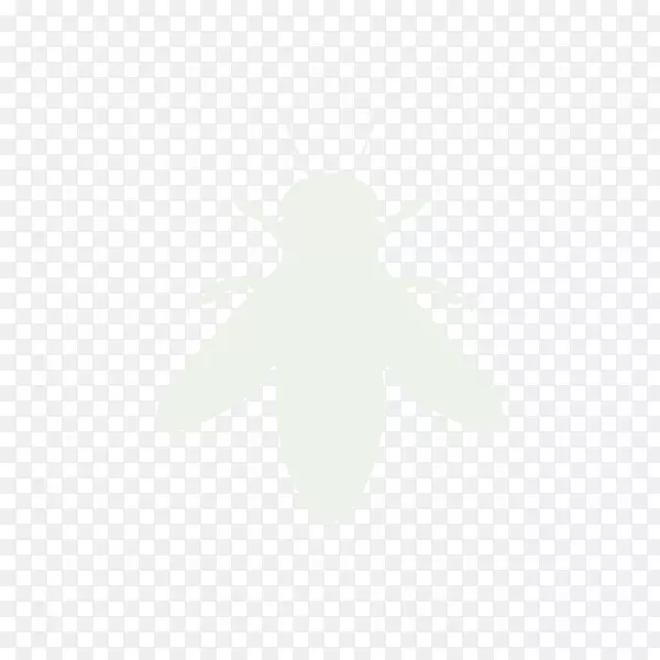 ���������������ֽ����-����-������