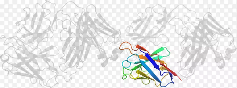 ����ͼ�����-������