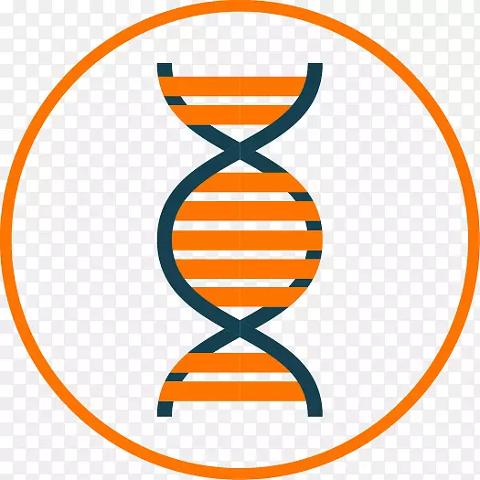 ��ѧ�����������-��ѧ-������