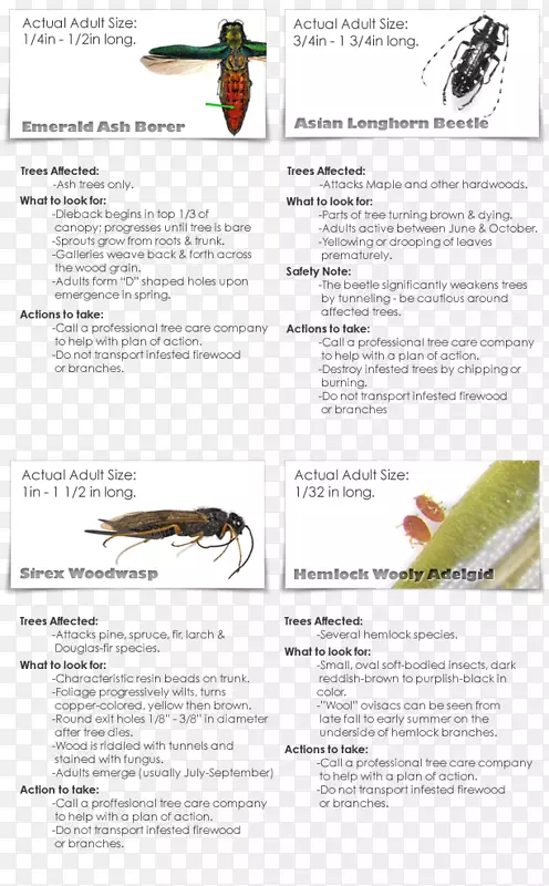 ��������-ˮ��-������