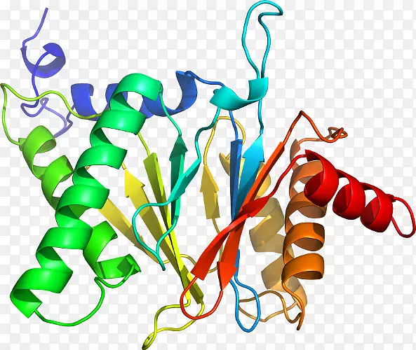 �����߶����������-������