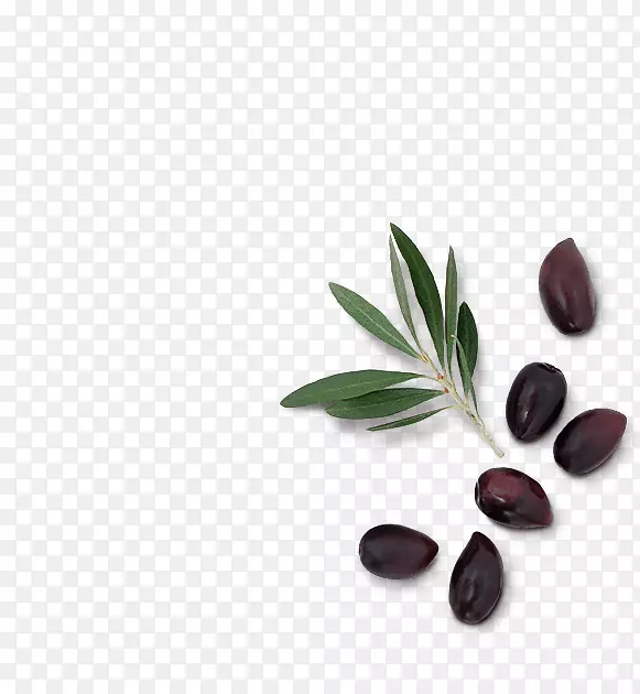 ����ʳ��-������