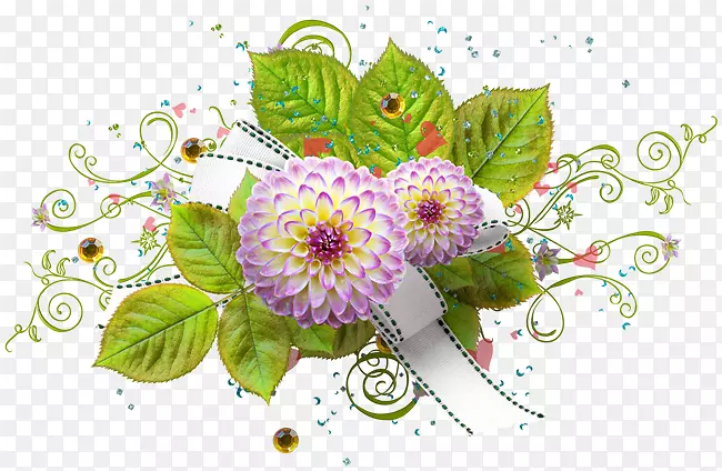 ���ͼ�����-������