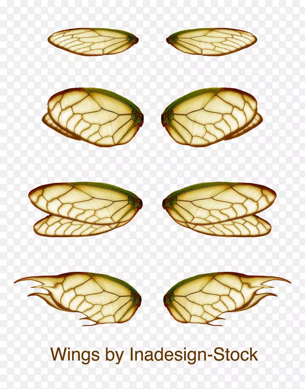 �����۷�����˸�ĳ��-������