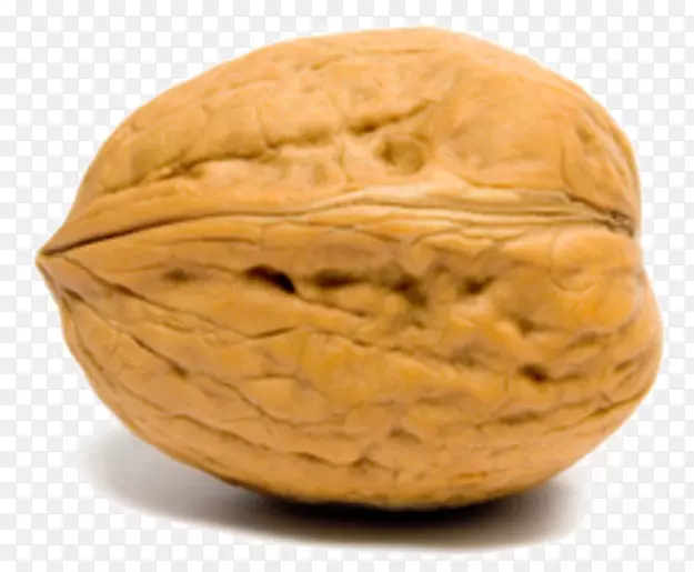 ���ҽ�����ʳ-����-������