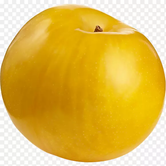 ���Һ˹�������-������