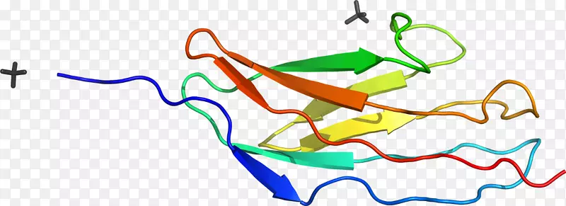 �ߵ������-��-������