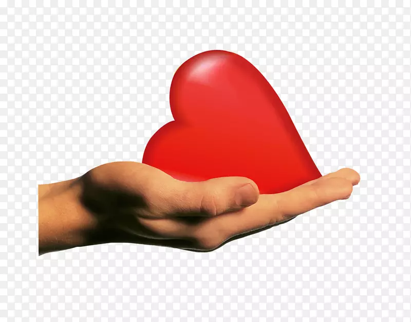 ���������ֽ������ָ��-������