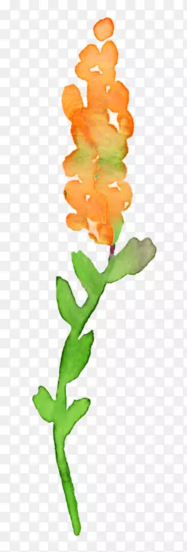 �������ˮ�ʻ��滭������-������