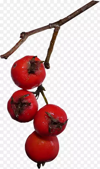 ��Ӱ���ؼ�������-������