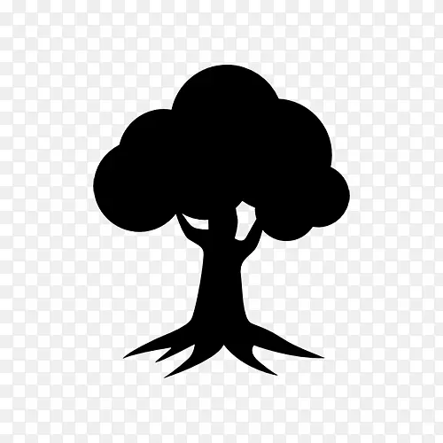 ����ͼ������ľ��������-������