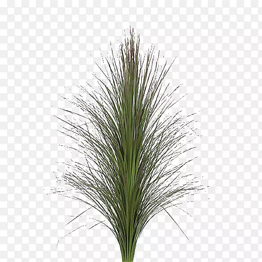 ��ƺ����ӳ���-�޷�����͸����-������