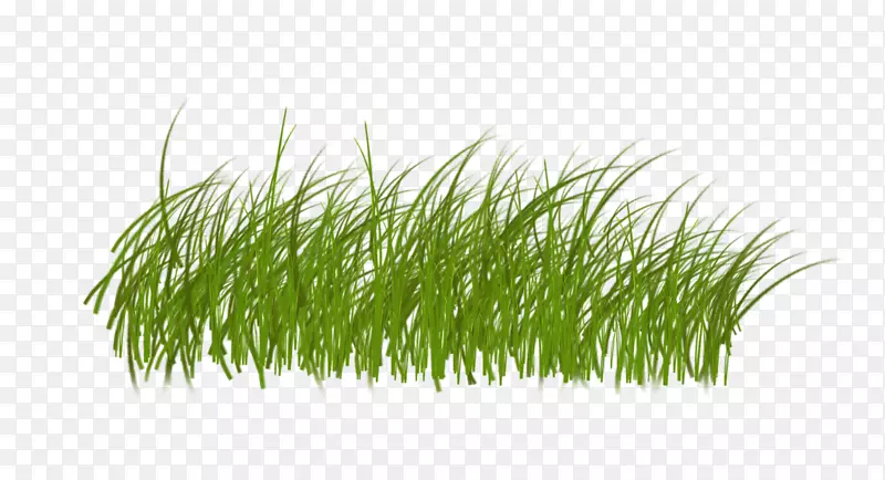 Albom��Ӱ������-������