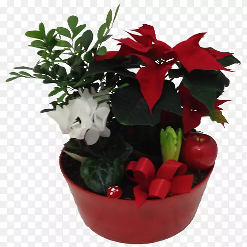 ��������л����軨��-������