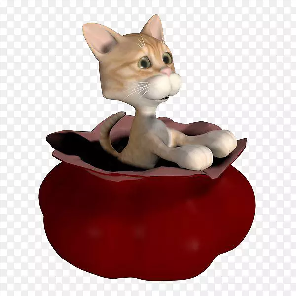 ��è�Ӵ�������������룬Сè��������-������è����-������