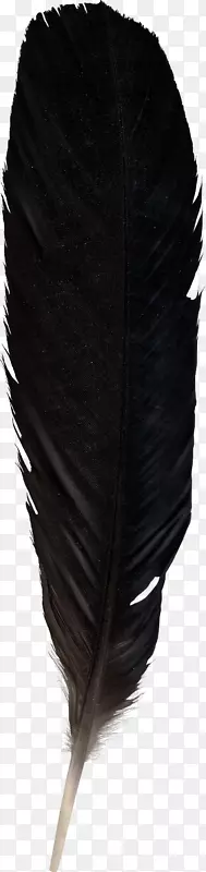 ��ë�ʼ�����.��ɫ���-������