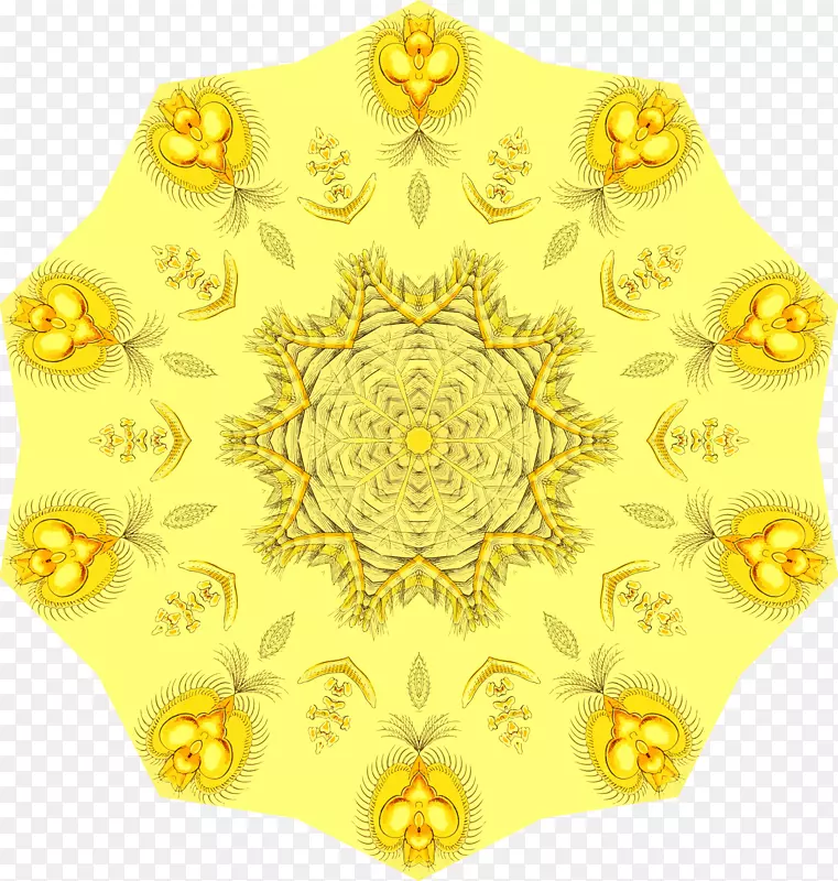 Բ��ת�Գ�-��ķ���-������