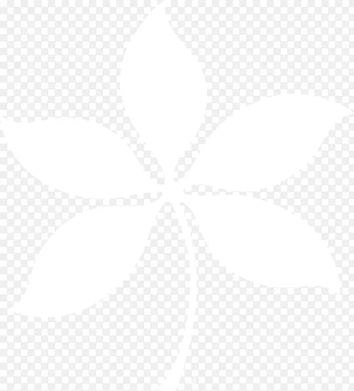 ���Ϲ���ѧ����������ѧ������ʼ���˾���ݼ���-Ҷ���-������