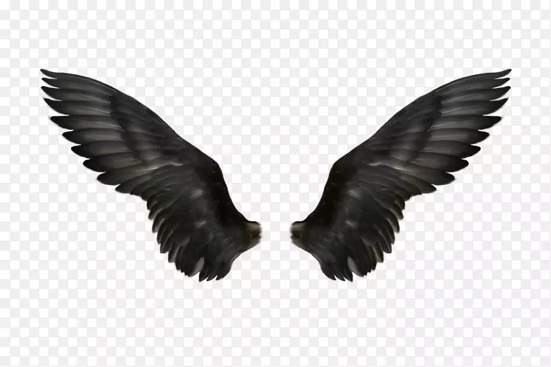 ������-��ɫ���-������