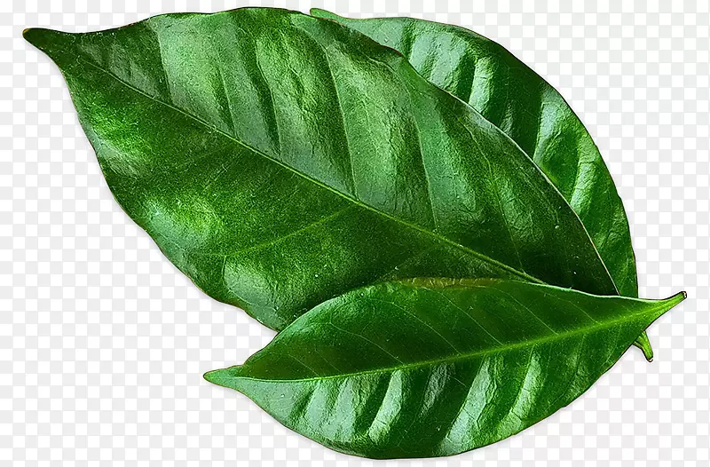 ���Ⱥ決�޿��ǿ��Ⱥ�ī��������-����-������