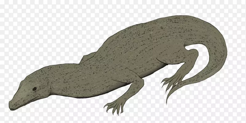 ����½�����������-������