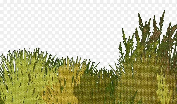 �̲�-������