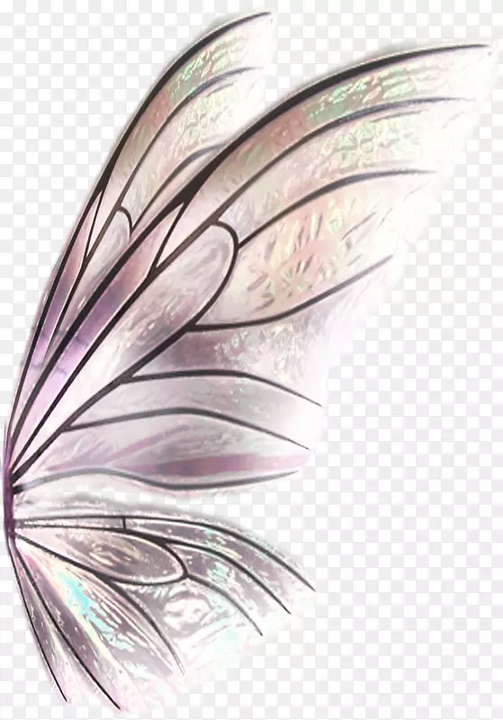 üë�Ϻ���Ʈ��-������