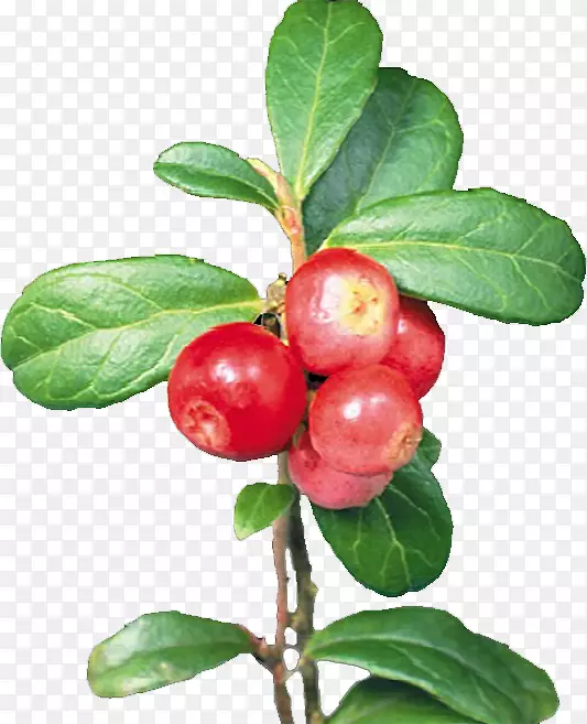 Խ��-ӣ��-������