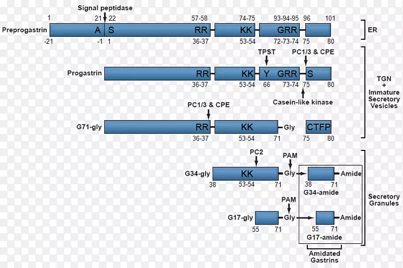 θ���ص��������ط���θ�����-������