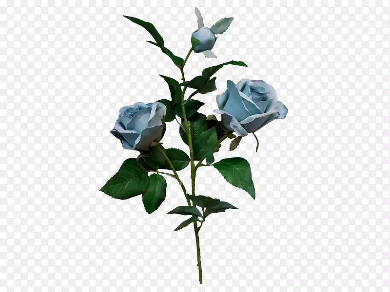 ��԰õ���л�ֲ�ﾥõ��-������