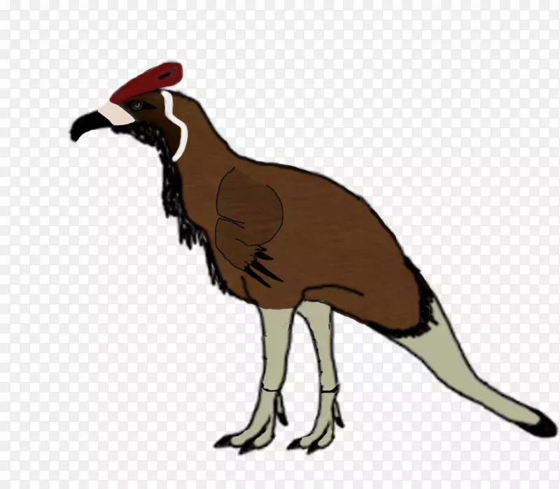 ���춯��Ұ�����Ｆ�������-������