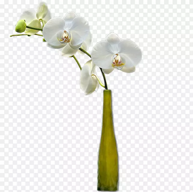 ��ƿ�л�������ƿ-������