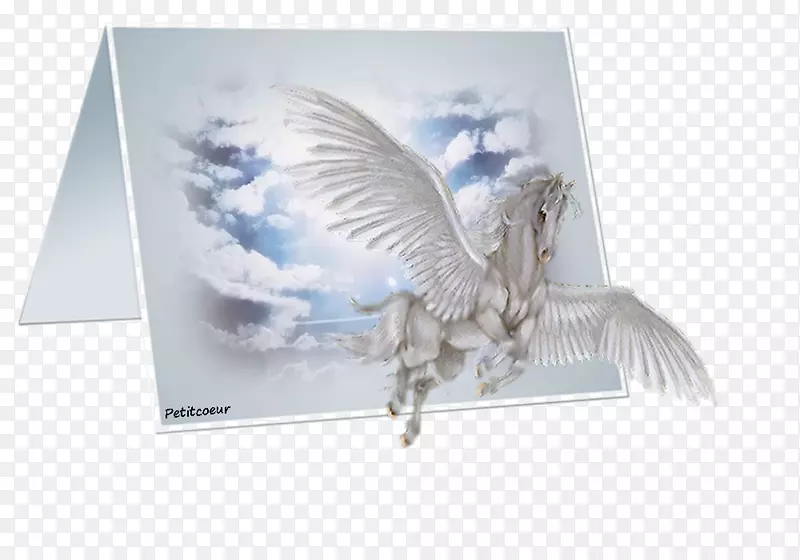 ��Ӱ���Ŀ���-��-������