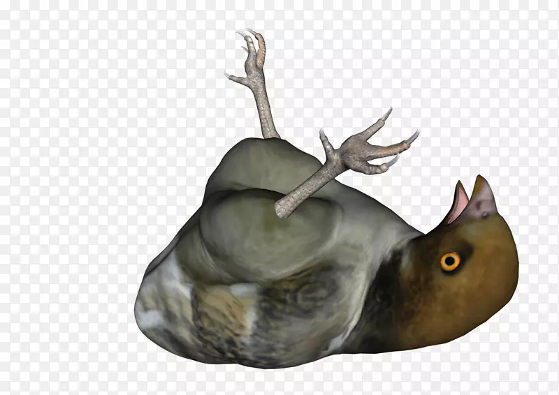 ѱ¹¹�Ǳ���Ұ������ѱ¹-������