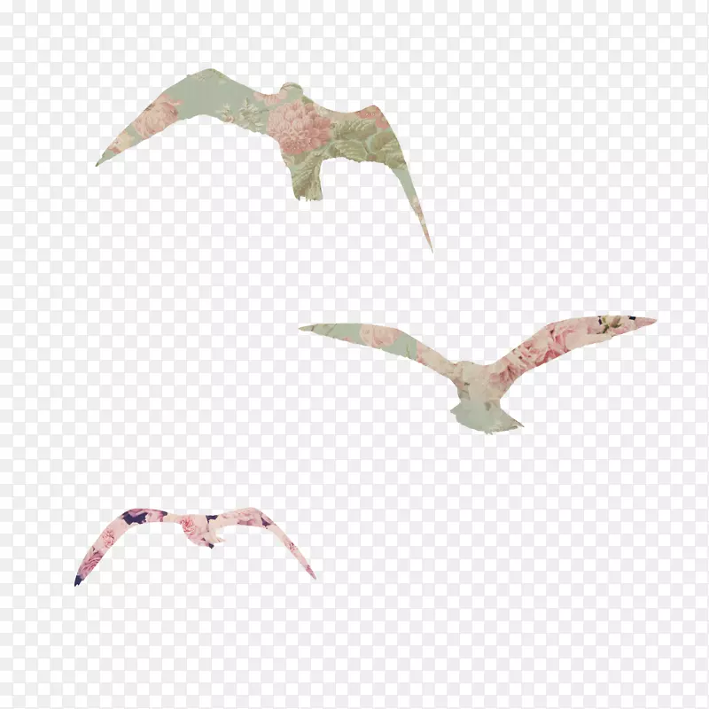 �ˮ��-������