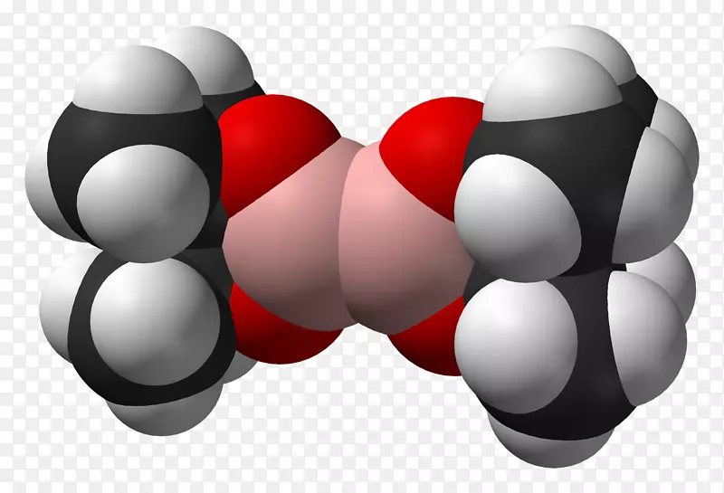 ̨ʽ��ֽ���Թ����-������