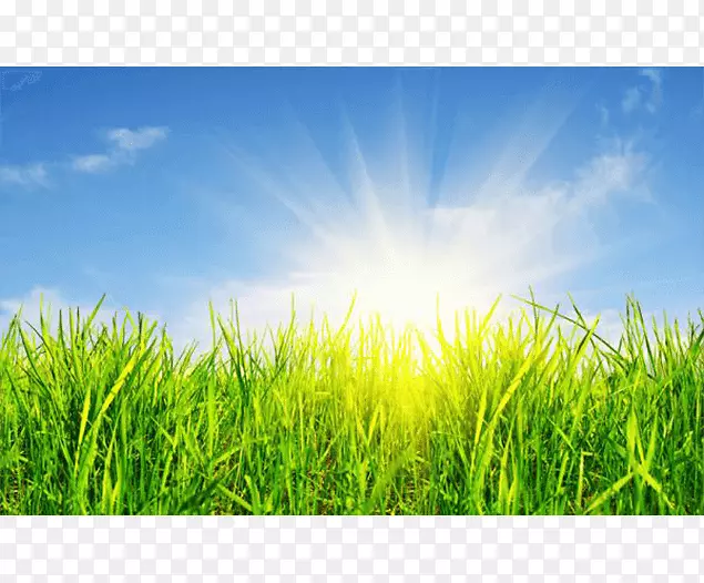 ��Ӱ��˰-���-������