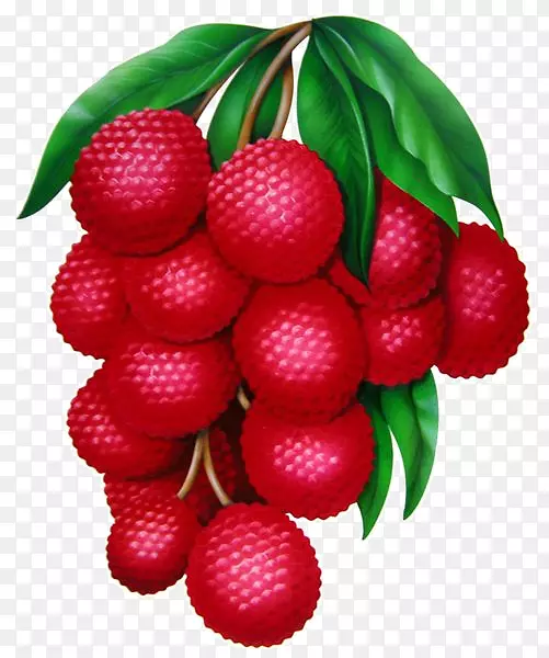 ��֦ˮ��ʳƷ-������