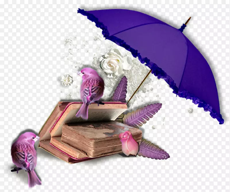 �´��ĵ���������Ϣ����-������