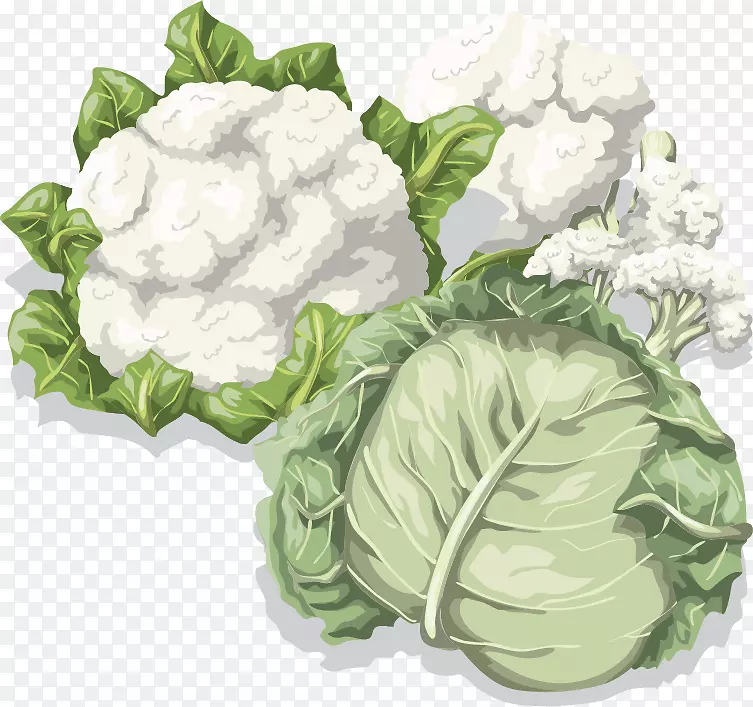 �ײ˻�Ҭ���߲�ʳƷ�˻��߲�PNG�������-������