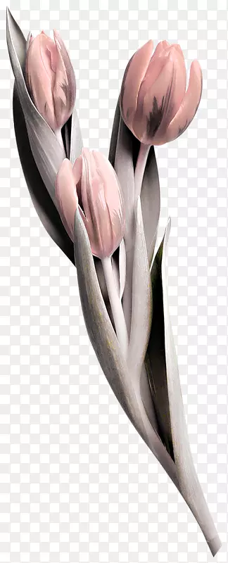 �������ͻ�-������