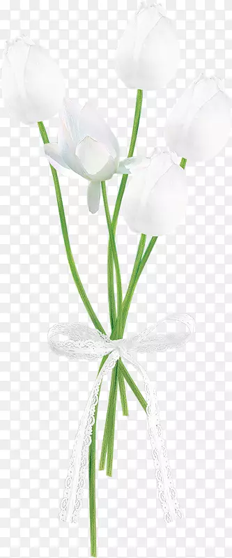 �������л����ͻ���������-������