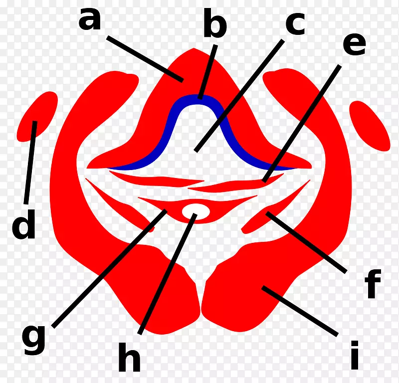 ���������֫�������¹Ӭ����-������