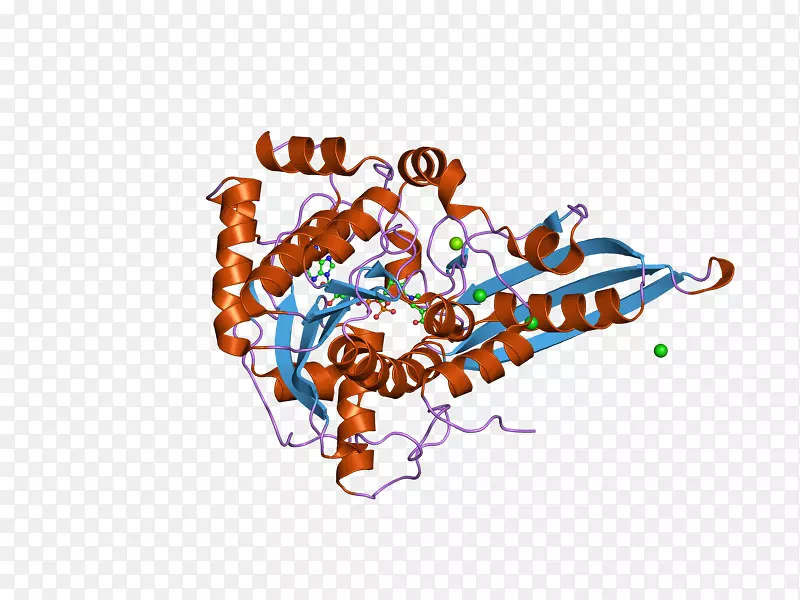 �̱������ֽ�����������-������