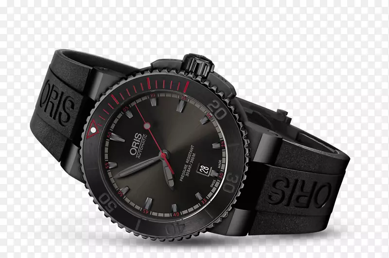 Ǳˮ����ǱˮԱ65ֻ������-������