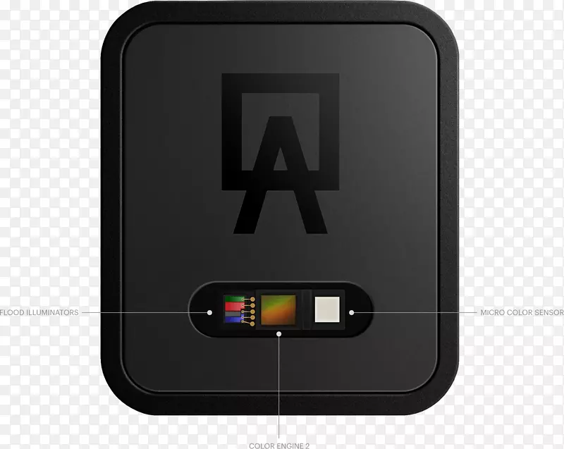 ��������-��ש�ݶ�-������