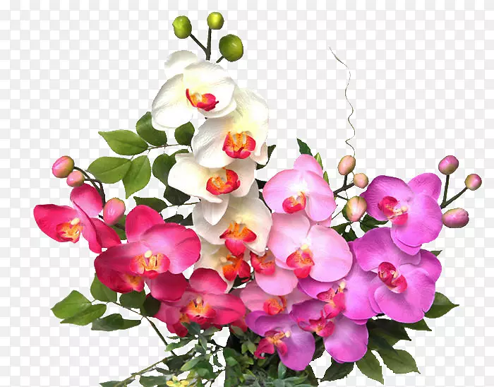 ��������л����컨����-������