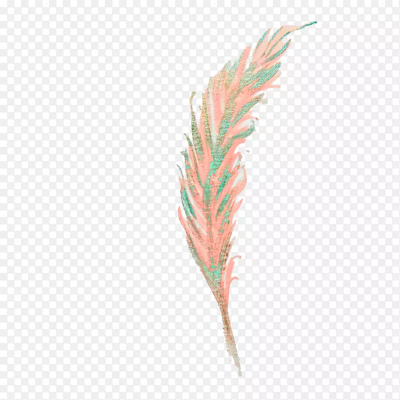 ˮ�ʻ���ë��������ϲȵ��ë-������