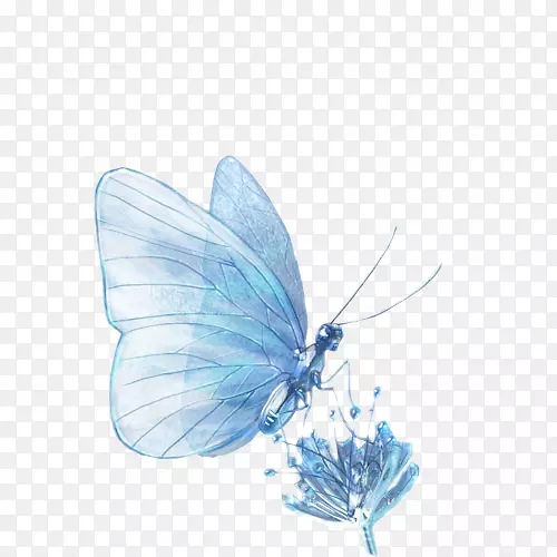 ���ͺ����ͷɶ���Ӱ��Ƭ-������